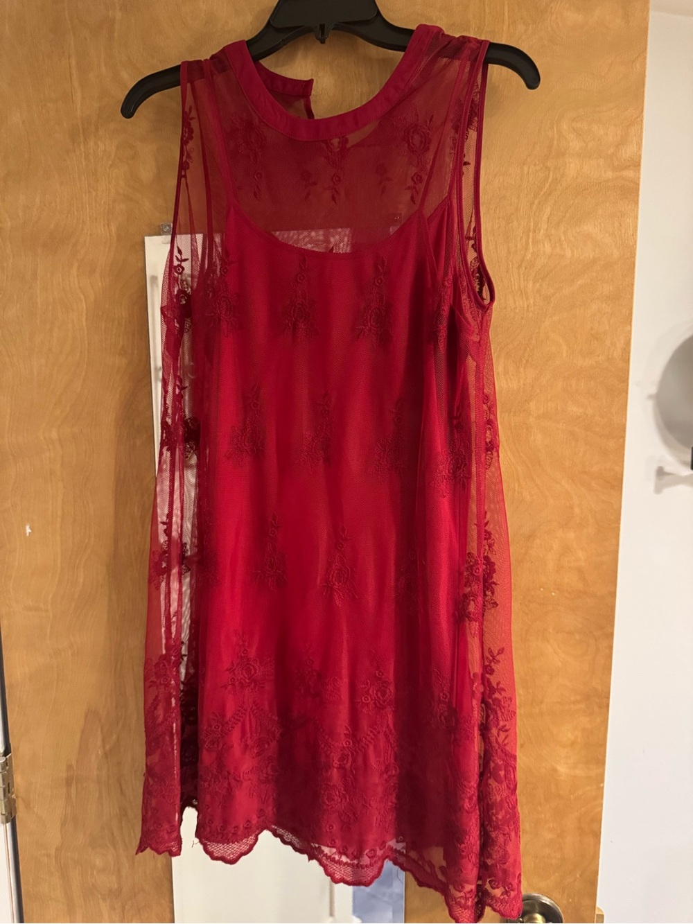 bleuh ciel Burgundy Sheer Floral Overlay Dress